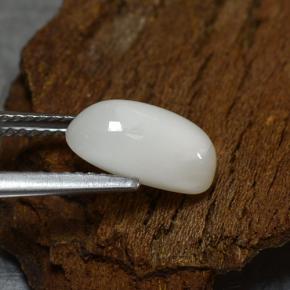 Coral branco natural 2,39ct, corte oval, opaco