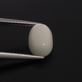 Coral Branco Natural 2.00ct, Corte Oval, Opaco