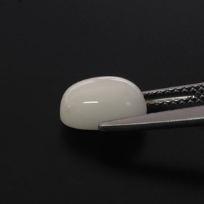 Coral Branco Natural 2.00ct, Corte Oval, Opaco