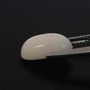 Coral branco natural 2,85ct, corte oval, opaco