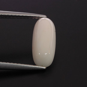 Coral branco natural 2,28ct, corte oval, opaco