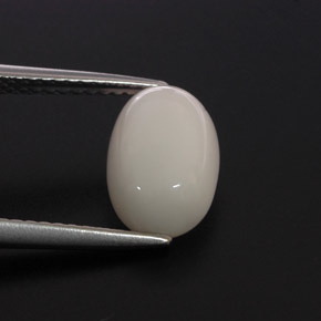 Coral branco natural 2,68ct, corte oval, opaco