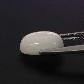 Coral branco natural 2,68ct, corte oval, opaco