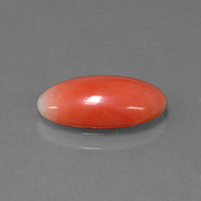 Coral Salmão Natural 1.69ct, Corte Oval, Opaco