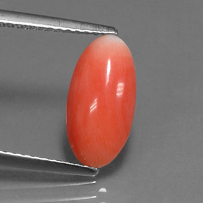 Coral Salmão Natural 1.69ct, Corte Oval, Opaco