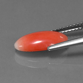 Coral Salmão Natural 1.69ct, Corte Oval, Opaco