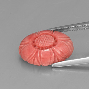Coral rosa natural 3,52ct, forma extravagante, opaco
