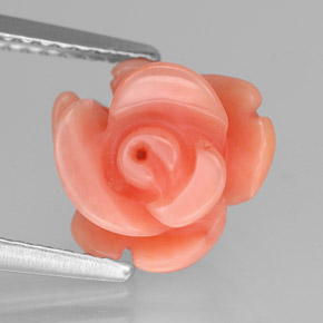 Coral rosa natural 2,94ct, forma extravagante, opaco