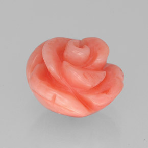Coral rosa natural 2,84ct, forma extravagante, opaco