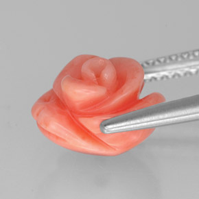 Coral rosa natural 2,84ct, forma extravagante, opaco