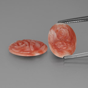 Pedras preciosas de coral bicolor natural de 5,09 ct, forma extravagante, opaco