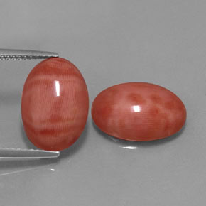 Pedras preciosas de coral rosa natural de  ct, corte oval, opaco
