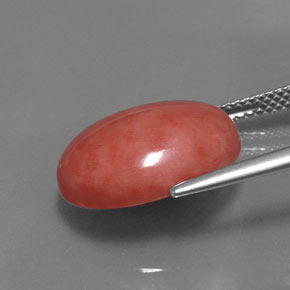 Coral rosa natural 7,54ct, corte oval, opaco