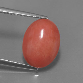 Coral rosa natural 5,26ct, corte oval, opaco