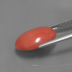 Coral rosa natural 5,26ct, corte oval, opaco