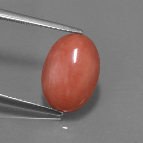 Coral rosa natural 4,05ct, corte oval, opaco
