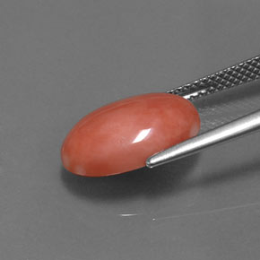 Coral rosa natural 4,05ct, corte oval, opaco