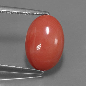Coral rosa natural 3,33ct, corte oval, opaco