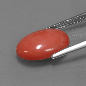Coral rosa natural 3,33ct, corte oval, opaco