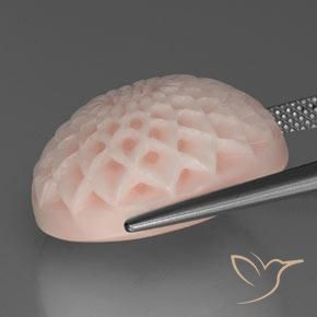 Coral Rosa salmão Natural 24.56ct, Flor cortada, Opaco