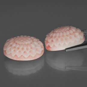Pedras preciosas de coral rosa natural de  ct, forma extravagante, opaco