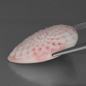 Coral Rosa Natural 13.69ct, Forma extravagante, Opaco