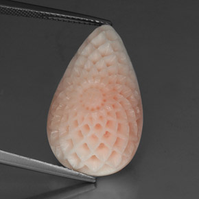 Coral branco natural 19,21ct, forma extravagante, opaco