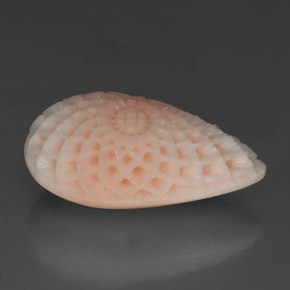 Coral branco natural 19,21ct, forma extravagante, opaco