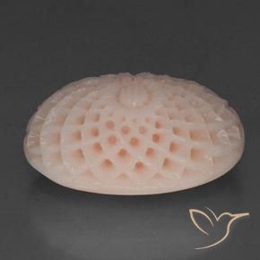 Coral Rosa salmão Natural 29.15ct, Flor cortada, Opaco