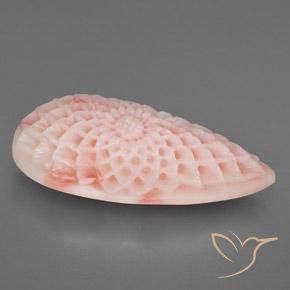 Coral Rosa Flamingo Natural 21.12ct, Chique, Opaco