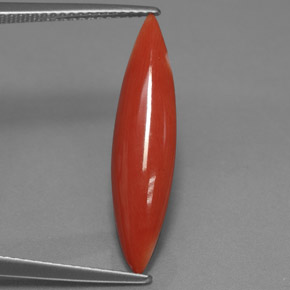 Coral rosa natural 2,45ct, marquise, opaco