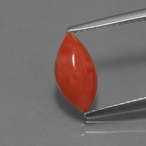 Coral rosa natural 1,23ct, marquise, opaco