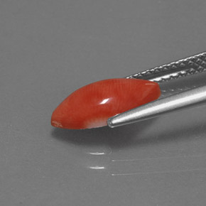 Coral rosa natural 1,23ct, marquise, opaco