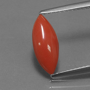 Coral rosa natural 1,18ct, marquise, opaco
