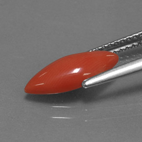 Coral rosa natural 1,18ct, marquise, opaco