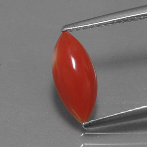 Coral rosa natural 1,30ct, marquise, opaco