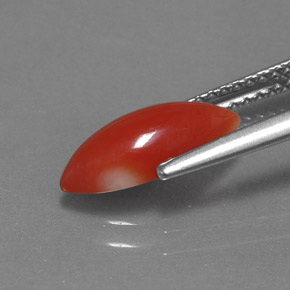 Coral rosa natural 1,30ct, marquise, opaco
