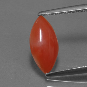 Coral rosa natural 1,16ct, marquise, opaco