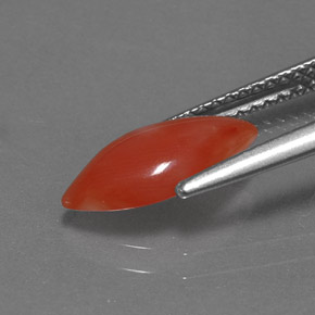 Coral rosa natural 1,16ct, marquise, opaco