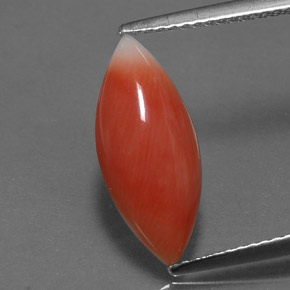 Coral rosa natural 2,56ct, marquise, opaco