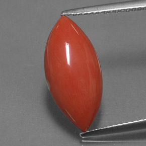 Coral rosa natural 4,46ct, marquise, opaco