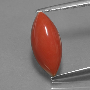 Coral rosa natural 3,54ct, marquise, opaco