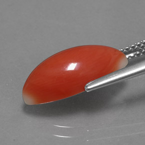 Coral rosa natural 3,54ct, marquise, opaco