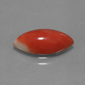 Coral Salmão Branco Natural 2.34ct, Marquesa, Opaco