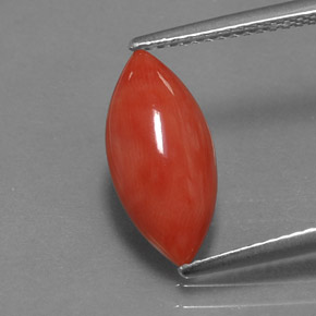 Coral rosa natural 2,03ct, marquise, opaco