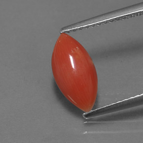 Coral rosa natural 1,27ct, marquise, opaco