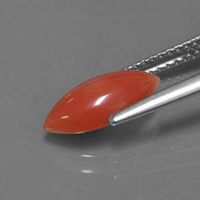Coral rosa natural 1,27ct, marquise, opaco