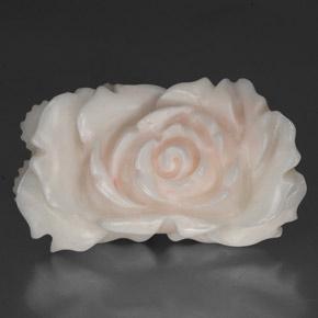 Coral branco natural 24,33ct, forma extravagante, opaco