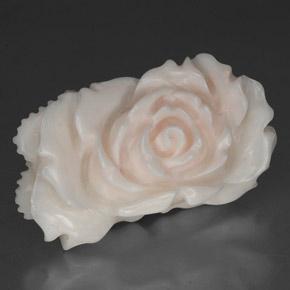 Coral branco natural 24,33ct, forma extravagante, opaco