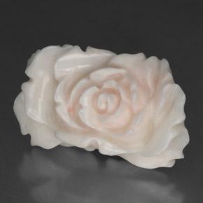 Coral branco natural 24,33ct, forma extravagante, opaco
